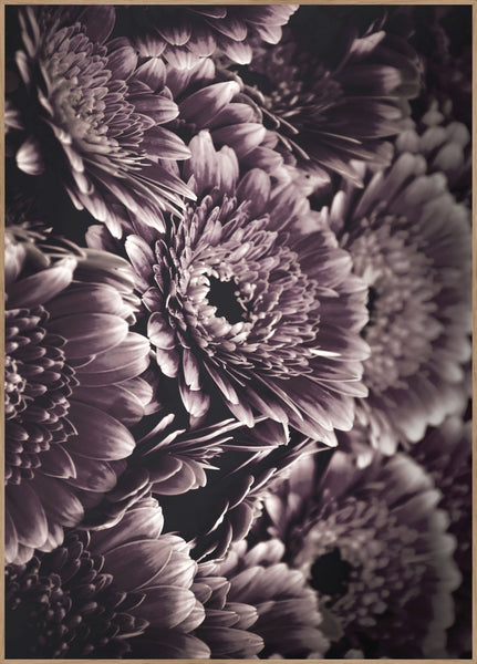 Opulent 4 | INDRAMMET BILLEDE Indrammet billede MF