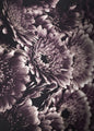 Opulent 4 | PLAKAT