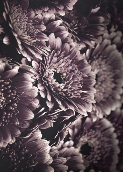 Opulent 4 | INDRAMMET BILLEDE Indrammet billede MF