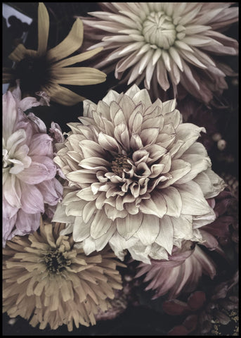 Opulent 5 | INDRAMMET BILLEDE Indrammet billede MF