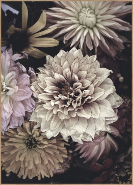 Opulent 5 | INDRAMMET BILLEDE Indrammet billede MF