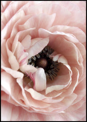 Opulent 6 | INDRAMMET BILLEDE Indrammet billede MF