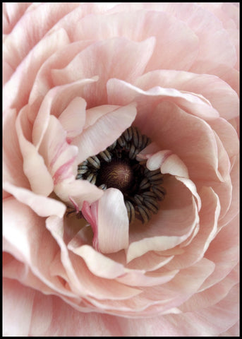 Opulent 6 | INDRAMMET BILLEDE Indrammet billede MF