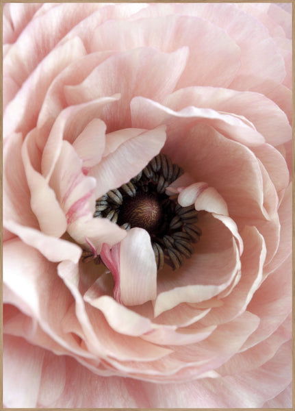 Opulent 6 | INDRAMMET BILLEDE Indrammet billede MF