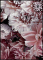 Opulent 8 | INDRAMMET BILLEDE