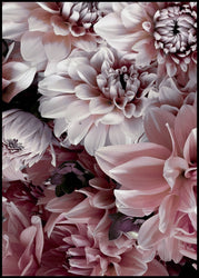 Opulent 8 | INDRAMMET BILLEDE Indrammet billede MF