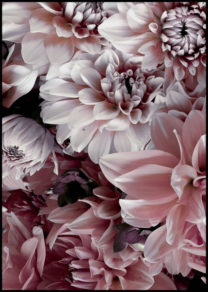 Opulent 8 | INDRAMMET BILLEDE Indrammet billede MF