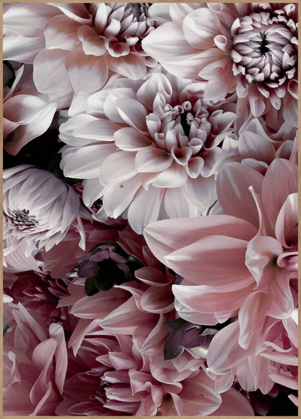 Opulent 8 | INDRAMMET BILLEDE Indrammet billede MF