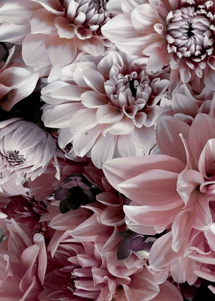 Opulent 8 | INDRAMMET BILLEDE Indrammet billede MF