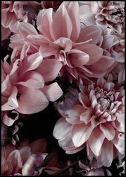 Opulent 9 | INDRAMMET BILLEDE Indrammet billede MF