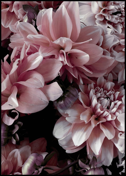 Opulent 9 | INDRAMMET BILLEDE Indrammet billede MF