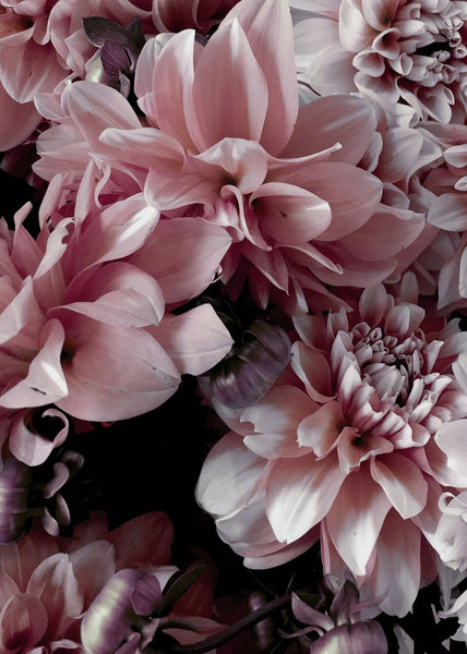 Opulent 9 | INDRAMMET BILLEDE Indrammet billede MF