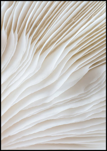 Organic Lines 2 | INDRAMMET BILLEDE Indrammet billede MF 30x40 Sort