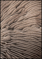 Organic Lines 3 | INDRAMMET BILLEDE Indrammet billede MF 30x40 Sort