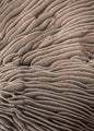 Organic Lines 3 | PLAKAT