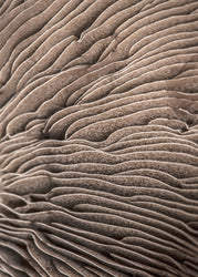 Organic Lines 3 | PLAKAT Plakat MF