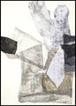 Organza 1 | INDRAMMET BILLEDE