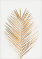 Palm Leaf Gold | PLAKAT
