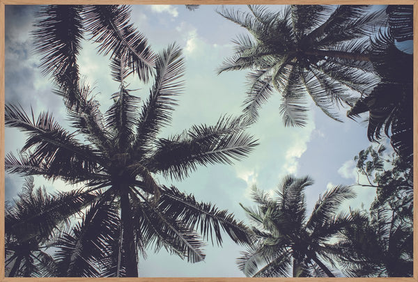 Palm Trees 2 | INDRAMMET BILLEDE Indrammet billede MF 30x40 Egeramme