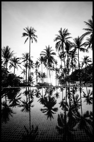 Palm Trees | INDRAMMET BILLEDE Indrammet billede MF 30x40 Sort
