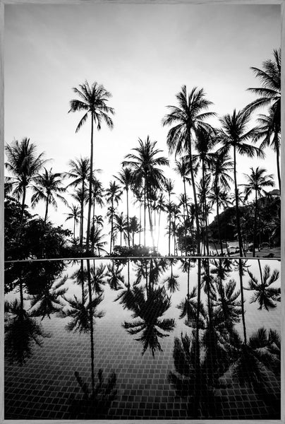 Palm Trees | INDRAMMET BILLEDE Indrammet billede MF 30x40 Egeramme