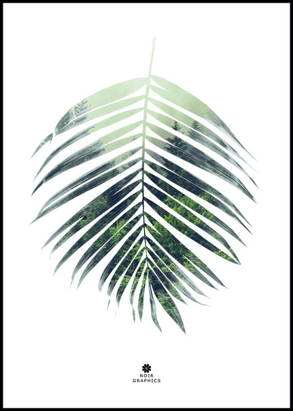 Palm leaf | INDRAMMET BILLEDE Indrammet billede MF