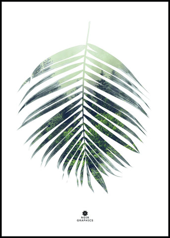 Palm leaf | INDRAMMET BILLEDE Indrammet billede MF