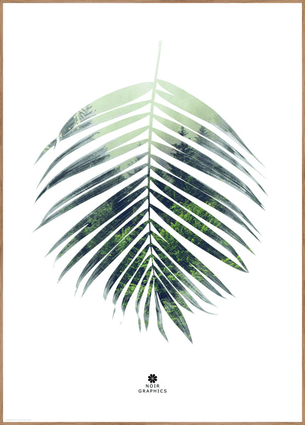 Palm leaf | INDRAMMET BILLEDE Indrammet billede MF