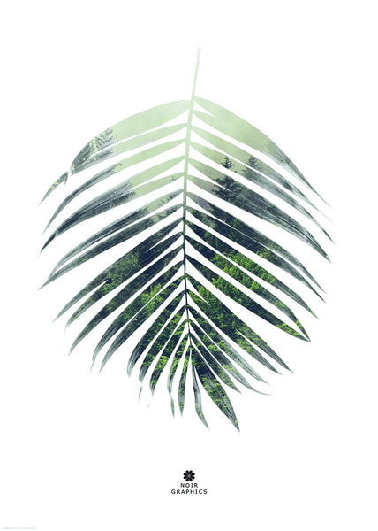 Palm leaf | INDRAMMET BILLEDE Indrammet billede MF