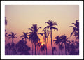 Palm sky 1 | INDRAMMET BILLEDE
