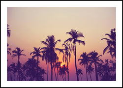Palm sky 1 | INDRAMMET BILLEDE Indrammet billede MF 30x40 Sort
