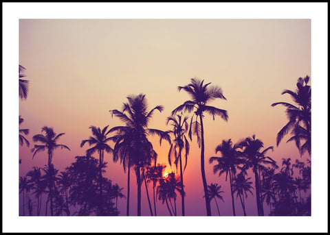 Palm sky 1 | INDRAMMET BILLEDE Indrammet billede MF 30x40 Sort