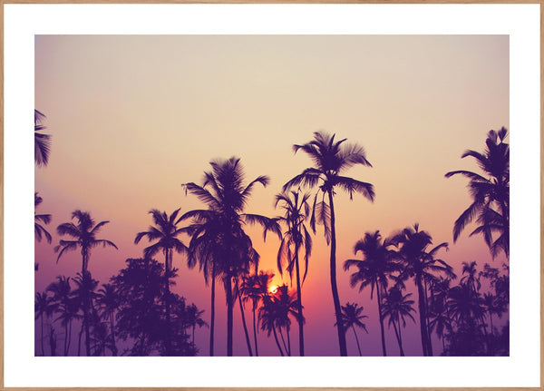 Palm sky 1 | INDRAMMET BILLEDE Indrammet billede MF 30x40 Egeramme