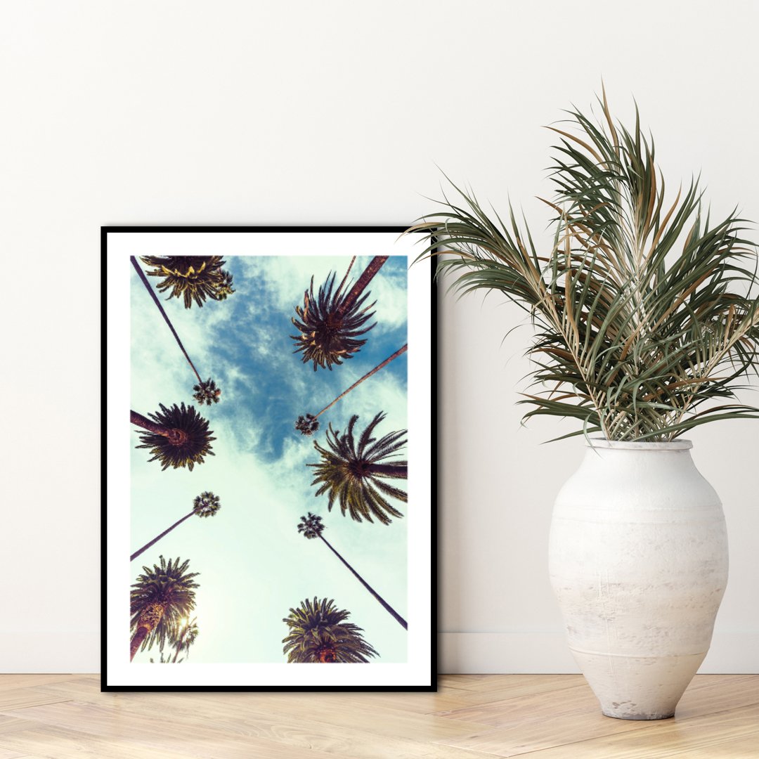 Palm sky 2 | INDRAMMET BILLEDE Indrammet billede MF 30x40 Sort