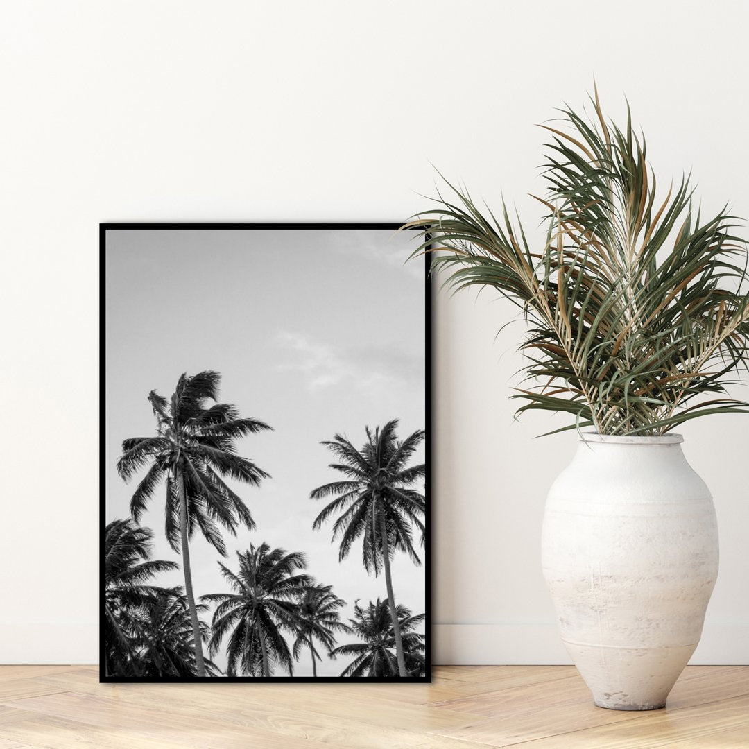 Palms in grey | INDRAMMET BILLEDE Indrammet billede MF 30x40 Sort