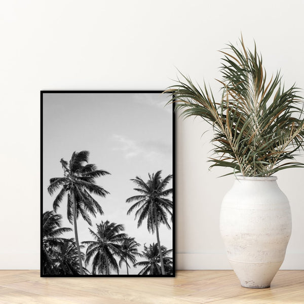 Palms in grey | INDRAMMET BILLEDE Indrammet billede MF