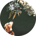 Pet Couture 1 | CIRCLE ART
