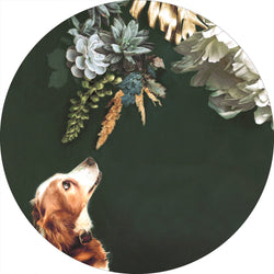 Pet Couture 1 | CIRCLE ART Circle Art ART COPENHAGEN   