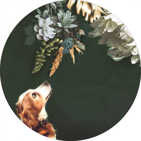 Pet Couture 1 | CIRCLE ART Circle Art ART COPENHAGEN   