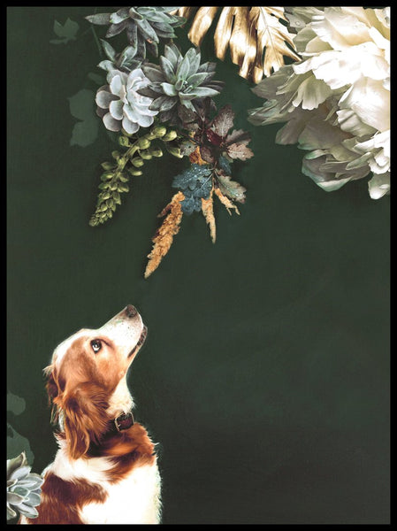 Pet Couture 1 | INDRAMMET BILLEDE Indrammet billede MF 30x40 Sort