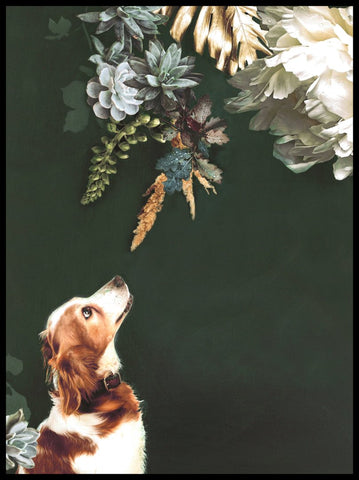 Pet Couture 1 | INDRAMMET BILLEDE Indrammet billede MF 30x40 Sort