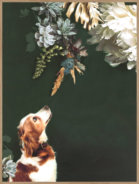 Pet Couture 1 | INDRAMMET BILLEDE Indrammet billede MF 30x40 Egeramme