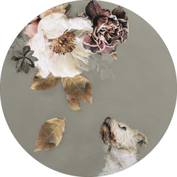 Pet Couture 2 | CIRCLE ART Circle Art ART COPENHAGEN   