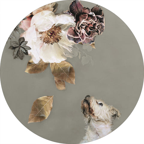 Pet Couture 2 | CIRCLE ART Circle Art ART COPENHAGEN   