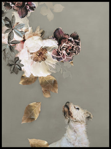 Pet Couture 2 | INDRAMMET BILLEDE Indrammet billede MF 30x40 Sort