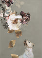 Pet Couture 2 | PLAKAT