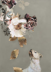 Pet Couture 2 | PLAKAT Plakat MF