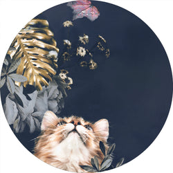 Pet Couture 3 | CIRCLE ART Circle Art ART COPENHAGEN   
