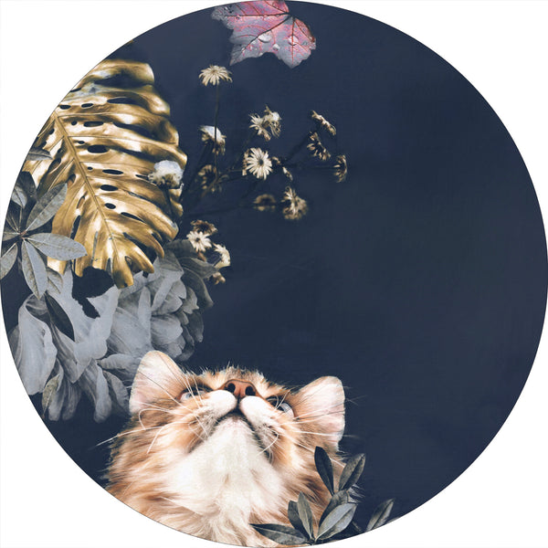 Pet Couture 3 | CIRCLE ART Circle Art ART COPENHAGEN   
