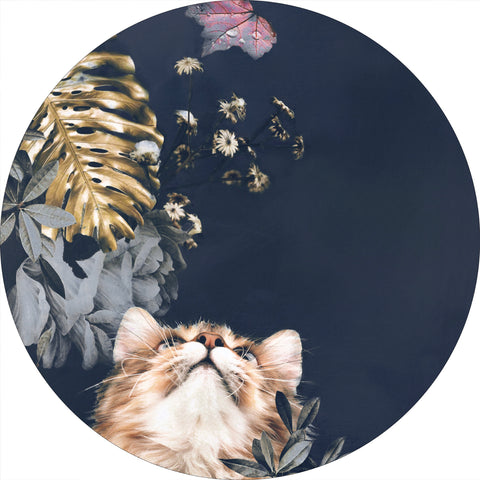 Pet Couture 3 | CIRCLE ART Circle Art ART COPENHAGEN   